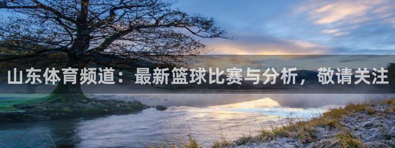 9球直播网体育直播：山东体育频道：最新篮球比赛与分析，敬请关注