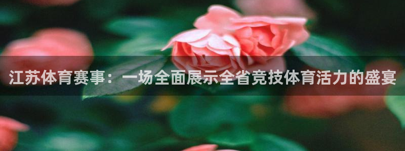 9球直播app：江苏体育赛事：一场全面展示全省竞技体育活力的盛宴