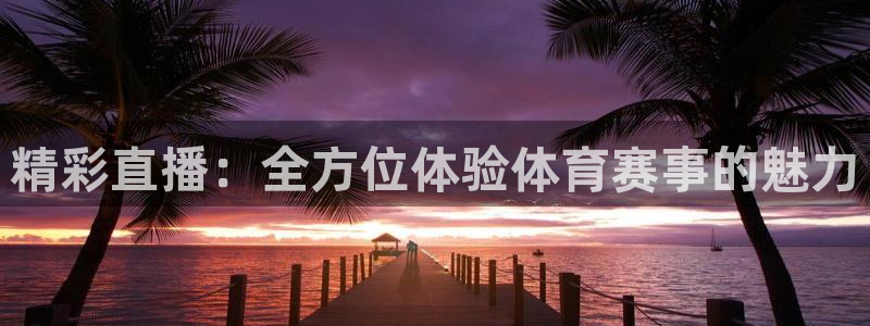 9球直播免费观看nba：精彩直播：全方位体验体育赛事的魅力