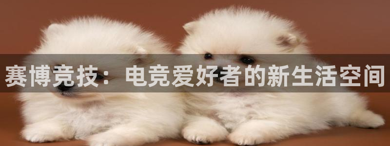 9球直播比赛官网：赛博竞技：电竞爱好者的新生活空间