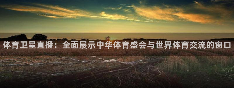 9球直播app下载免费：体育卫星直播：全面展示中华体育盛会与世界体育交流的窗口