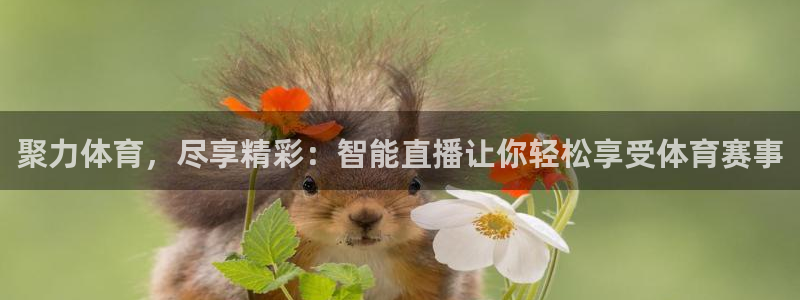 9球直播官网地址：聚力体育，尽享精彩：智能直播让你轻松享受体育赛事