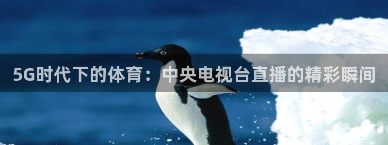 9球直播欧冠：5G时代下的体育：中央电视台直播的精彩瞬间