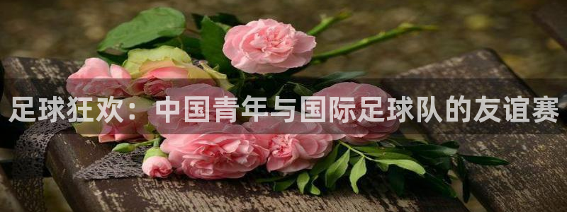 9球直播在线直播观看高清nba：足球狂欢：中国青年与国际足球队的友谊赛