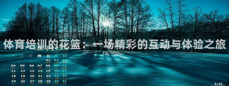 9球直播下载安卓：体育培训的花篮：一场精彩的互动与体验之旅