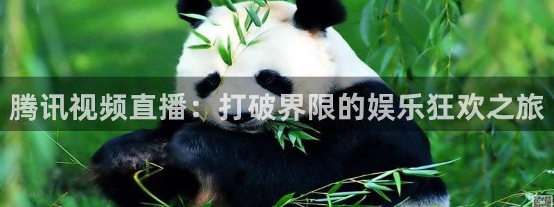 9球直播免费体育直播在线观看高清：腾讯视频直播：打破界限的娱乐狂欢之旅