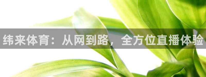 9球直播免费观看：纬来体育：从网到路，全方位直播体验