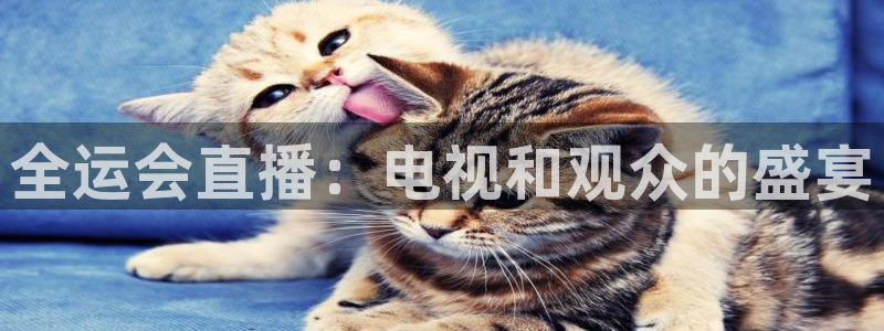 nba直播在线观看免费9球直播：全运会直播：电视和观众的盛宴