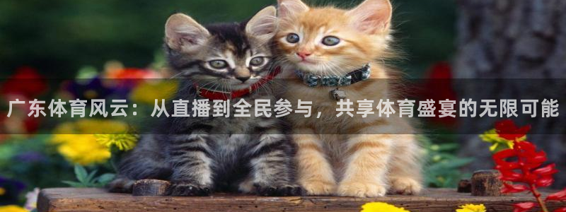 9球直播nba篮球：广东体育风云：从直播到全民参与，共享体育盛宴的无限可能