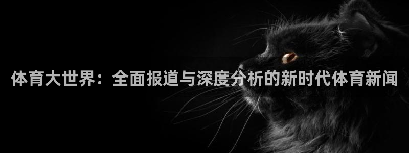 9球直播app下载安装：体育大世界：全面报道与深度分析的新时代体育新闻