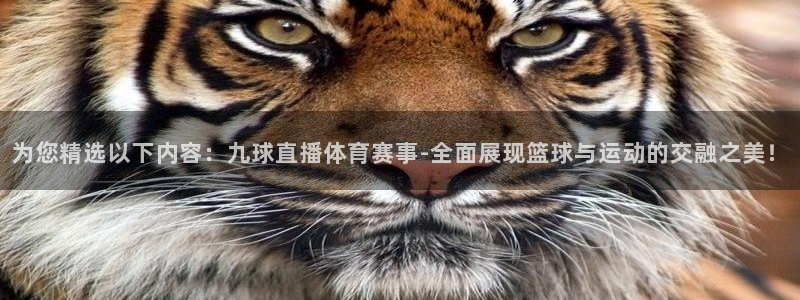 nba9球直播：为您精选以下内容：九球直播体育赛事-全面展现篮球与运动的交融之美！