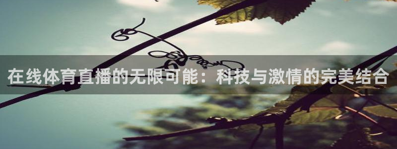 9球直播三月兔：在线体育直播的无限可能：科技与激情的完美结合