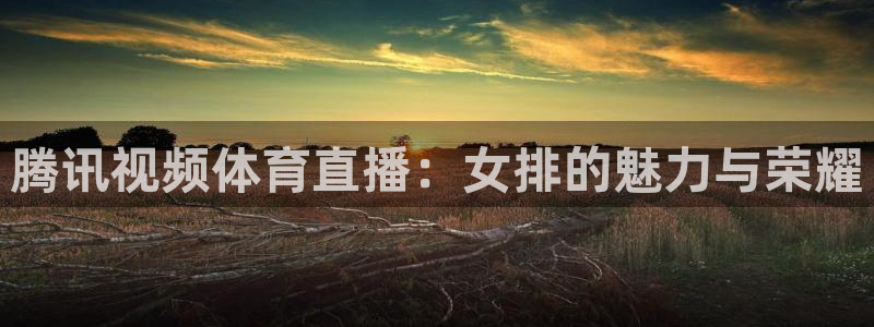 nba直播在线观看免费9球直播：腾讯视频体育直播：女排的魅力与荣耀