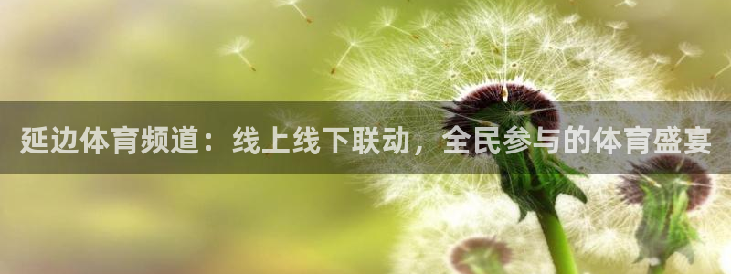 9球直播在线直播观看高清nba：延边体育频道：线上线下联动，全民参与的体育盛宴