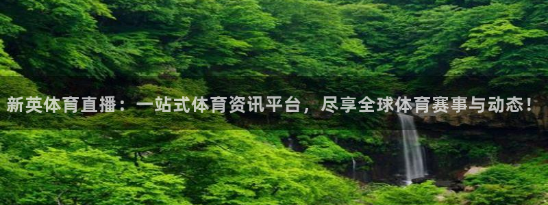 9球直播在线：新英体育直播：一站式体育资讯平台，尽享全球体育赛事与动态！