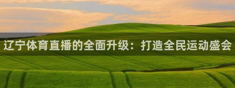 9球直播app下载：辽宁体育直播的全面升级：打造全民运动盛会